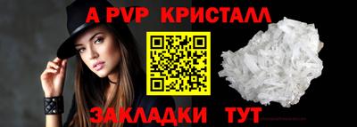 спайс Малгобек